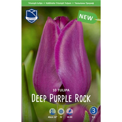 Тюльпан Deep Purple Rock 10 шт