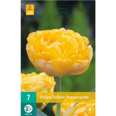 Тюльпан Yellow Pompenette  7шт